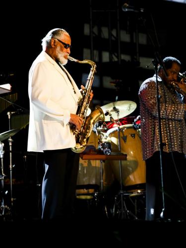 We are standardIMG 0908